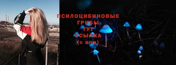 прущая мука Алексин