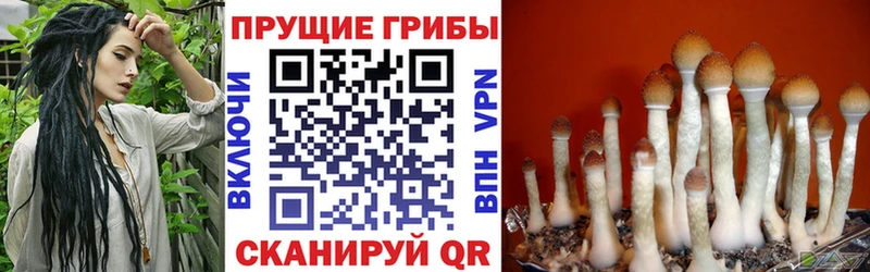 Псилоцибиновые грибы Magic Shrooms Апшеронск